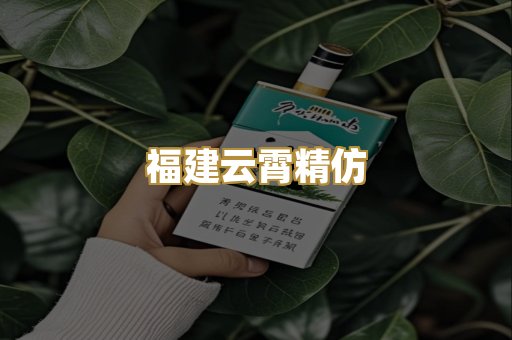福建云霄精仿